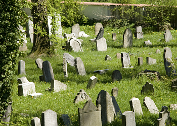 Židovský hřbitov v Hranicích