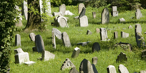 Židovský hřbitov v Hranicích
