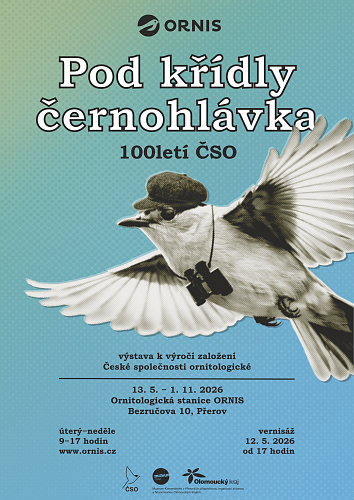 Pod křídly černohlávka: 100letí ČSO