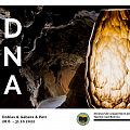 Prohlídku Zbrašovských aragonitových jeskyní doplňuje „světelná“ výstava DNA