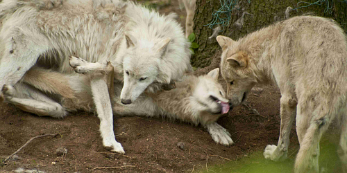 Zoo Olomouc