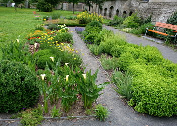 Meditation Garden