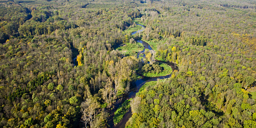 Chráněná krajinná oblast Litovelské Pomoraví