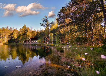 Moss Ponds - Rejvíz