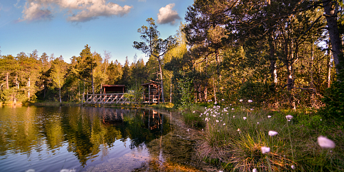 Moss Ponds - Rejvíz