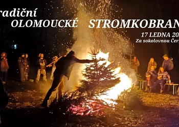Tradiční Olomoucké stromkobraní
