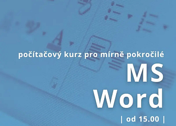 MS Word