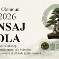 Bonsaj škola