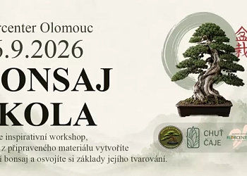 Bonsaj škola