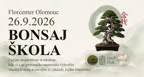 Bonsaj škola