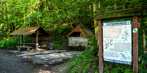 Ścieżka poznawcza Tereską Doliną