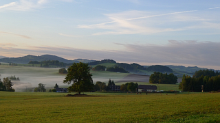 Vikantice