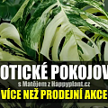 HappyPlant