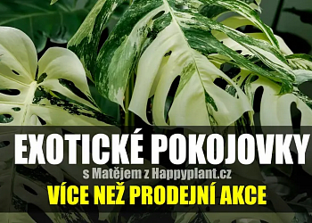 HappyPlant