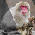 Oslavy k 70. výročí založení Zoo Olomouc