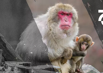 Oslavy k 70. výročí založení Zoo Olomouc