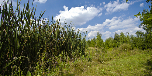 Čehovice Nature Trail