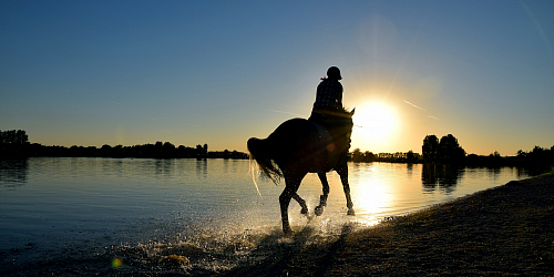 Celodenní trasa Lovecká chata - Chomoutovské jezero