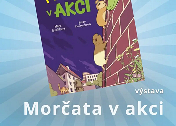 Morčata v akci