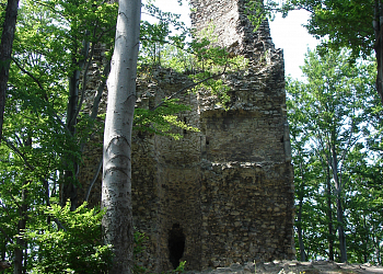 Zřícenina Hradisko - Kaltenštejn (Castle Ruin)