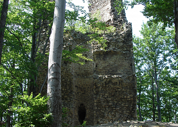 Zřícenina hradu Kaltenštejn