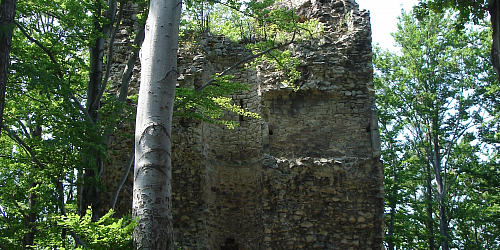 Zřícenina hradu Kaltenštejn