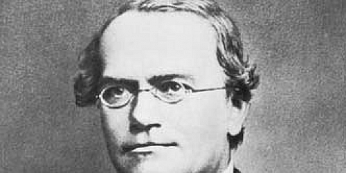 Gregor Johann Mendel