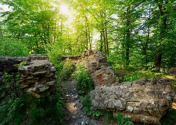 Karthäuserkloster – Ruine