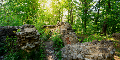 Zřícenina kláštera Kartouzka v Dolanech