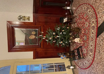 Vánoční prohlídky ve Vile Primavesi