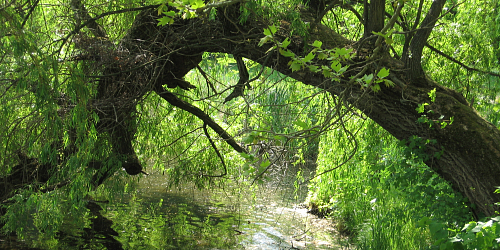 “Přerov Meadows” Nature Trail