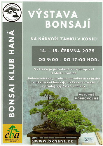 Výstava bonsají