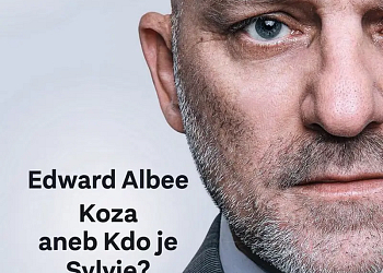 Koza, aneb kdo je Sylvie?