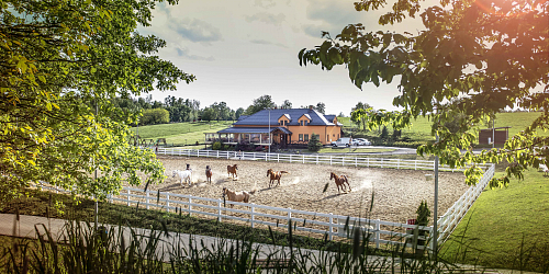 Hotel Horse Riding Hostinův Důl Tršice