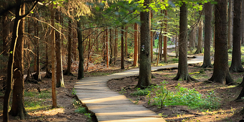 Nature trail Rejvíz