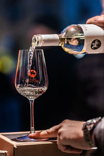 Svatomartinská Olomouc