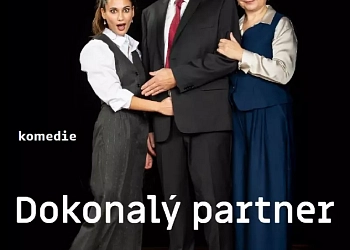 Dokonalý partner