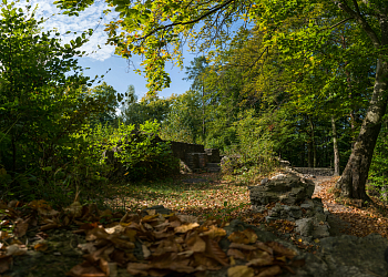 Zřícenina kláštera Kartouzka v Dolanech