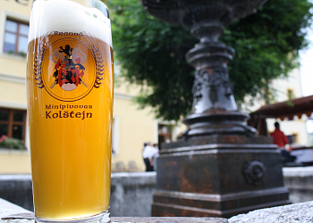 Pivo Bran