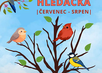 Ptačí hledačka