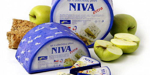 Výroba plísňového sýru Niva