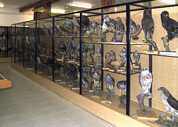 ORNIS - ornitologická stanice Přerov