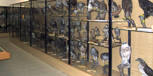 ORNIS - ornitologická stanice Přerov