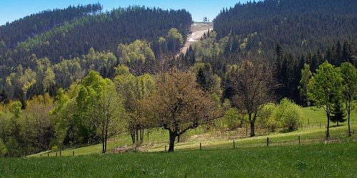 Přírodní rezervace Přemyslovské sedlo