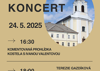 Varhanní koncert