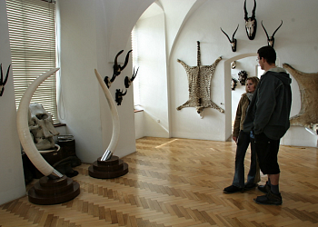 Zámek Úsov a Lovecko-lesnické muzeum