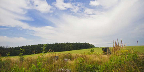 Grüner Weg