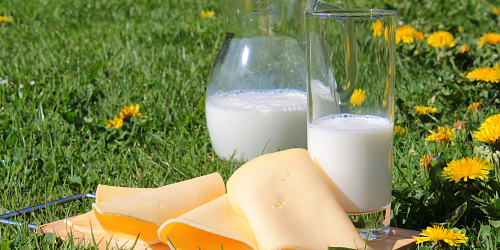 Mléko a mléčné výrobky AMALTHEA