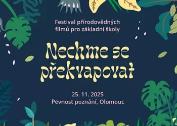 Festival - Nechme se překvapovat