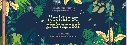 Festival - Nechme se překvapovat